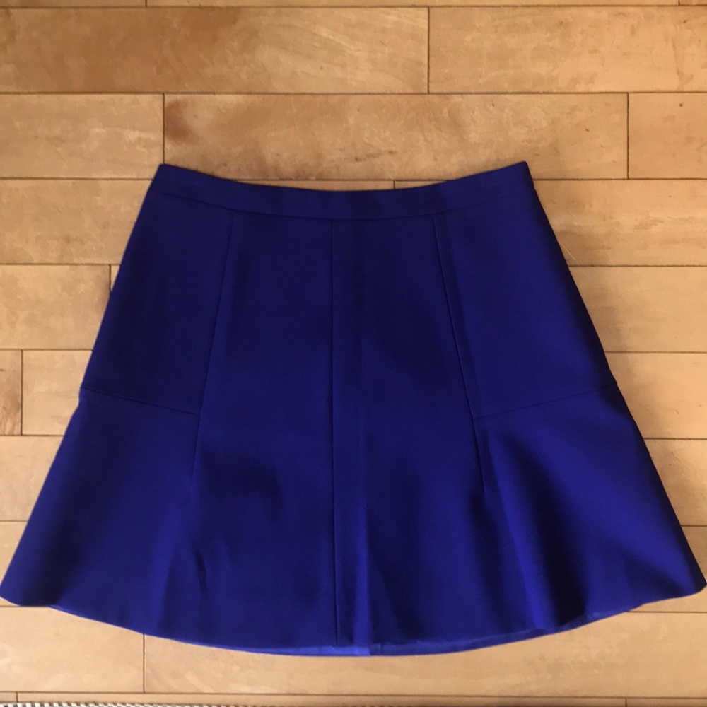 JCREW Skater skirt